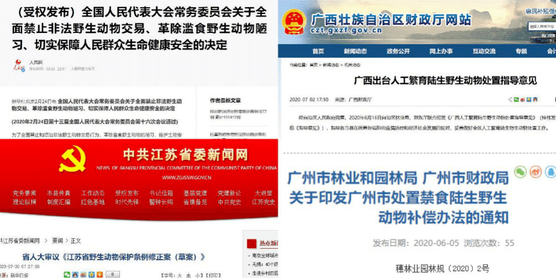 管家婆精準(zhǔn)期選一肖福利活動,實際調(diào)研解析_BDE27.204跨界版