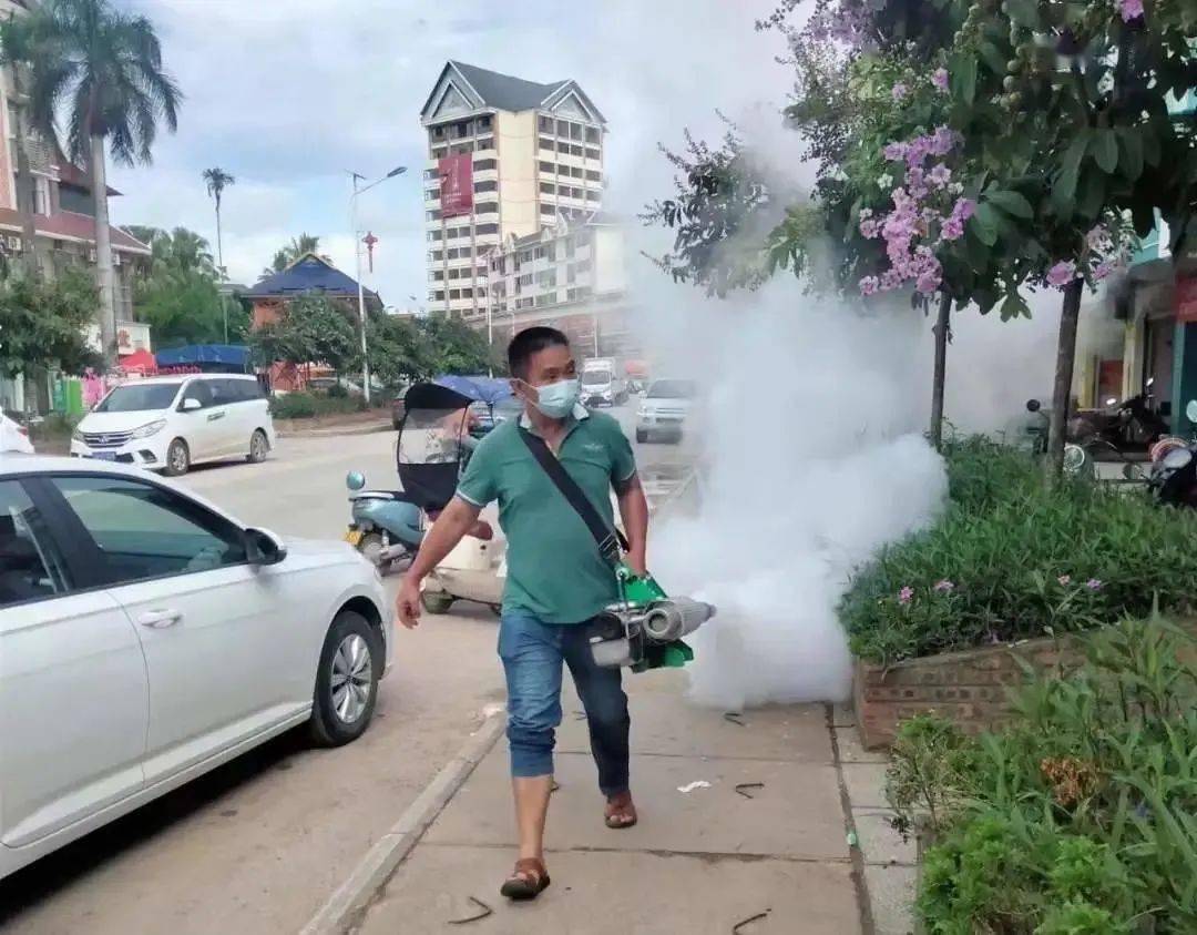 景洪登革熱最新疫情動態(tài)，挑戰(zhàn)與自信之光的博弈