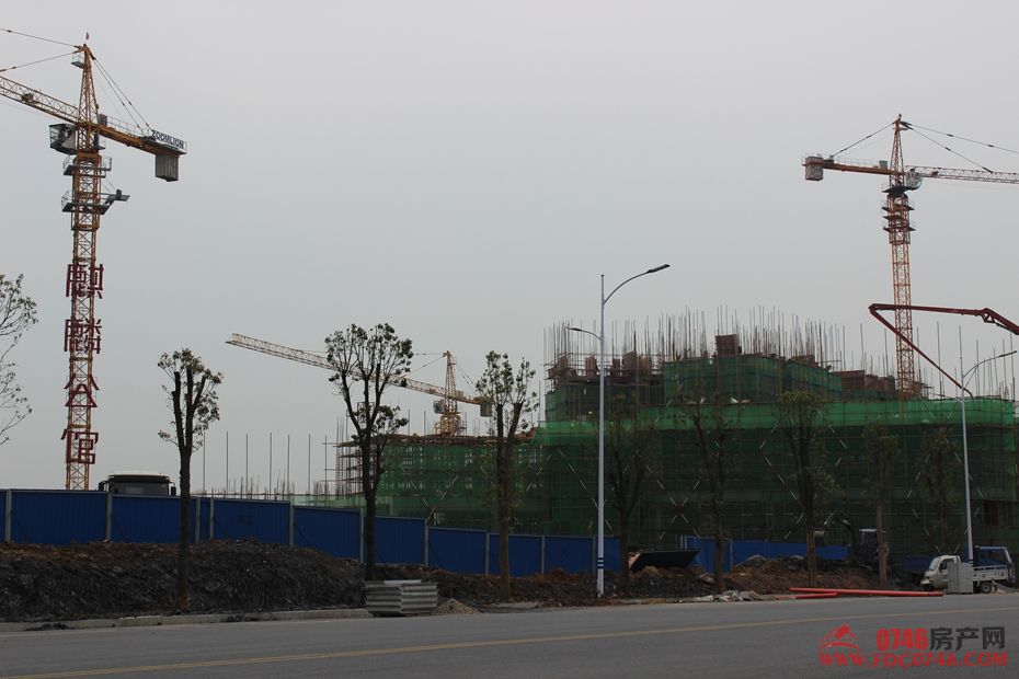 池州麒麟公館最新動態(tài)揭秘，最新進展與資訊更新