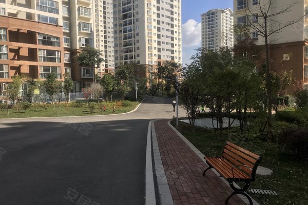 建禮家園最新動態(tài)，小巷中的隱藏瑰寶揭秘