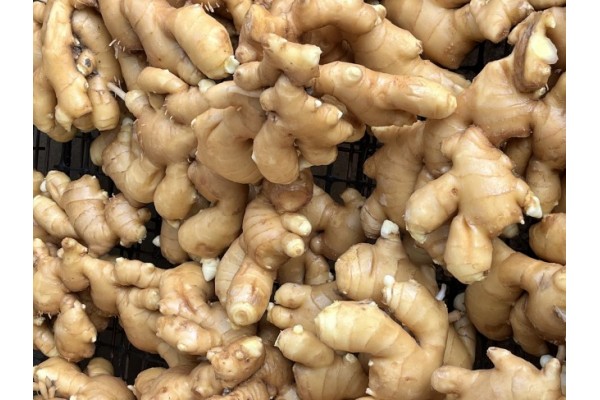 昌邑生姜市場最新價(jià)格指南，全面了解生姜市場行情與價(jià)格動態(tài)