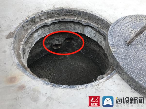 福建臺幫幫團(tuán)最新一期揭秘，小巷深處的隱藏美食瑰寶