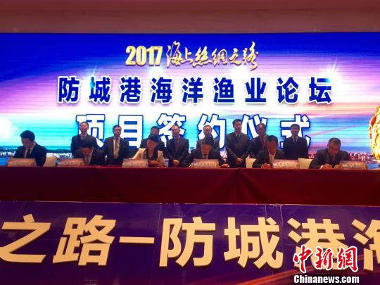 防誠(chéng)港最新,防誠(chéng)港的最新發(fā)展，機(jī)遇與挑戰(zhàn)并存