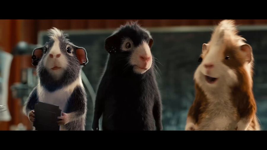 豚鼠電影,豚鼠電影，科技巨獻，重塑觀影體驗