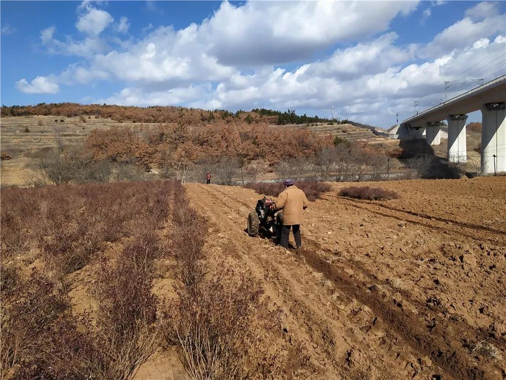 揭秘衡陽張家山規(guī)劃更新，小巷風情與隱藏小店的獨特魅力