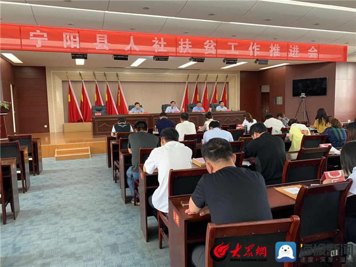 寧陽網(wǎng)最新資訊，城市中的溫情日常