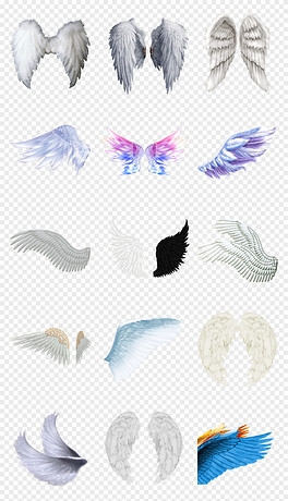 動漫翅膀繪制指南，從白紙起步，繪出飛翔的勵志翅膀！