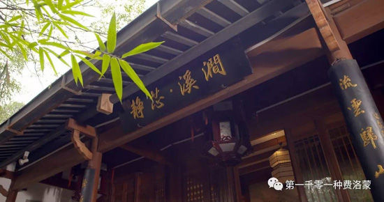 高密西湖茶樓最新資訊，一壺茶，品味溫情時光