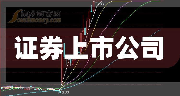科技巨頭引領下的全新視界，股票上市公司概覽