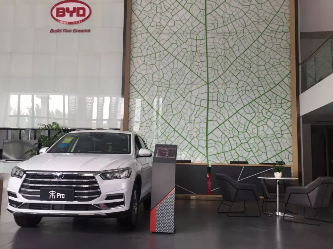 重磅更新，比亞迪最新招聘信息揭秘???