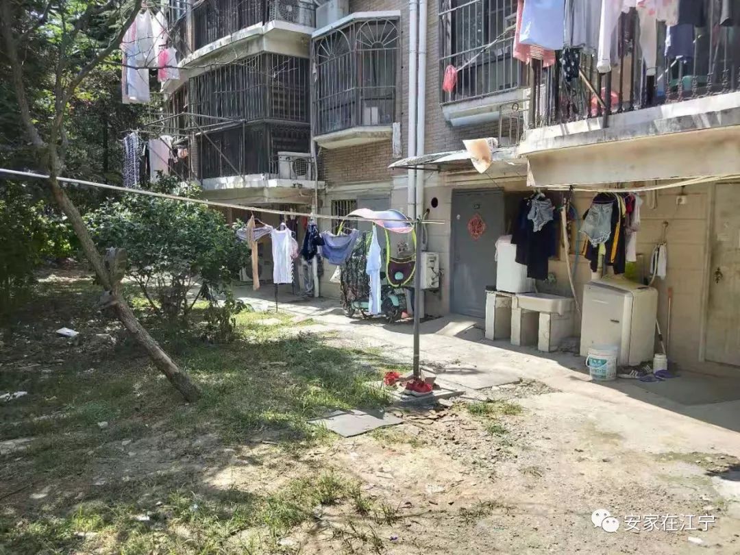 最新大雜亂時代，混沌與秩序的重建之路