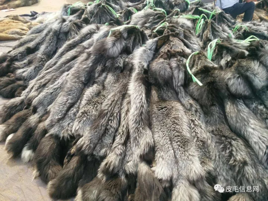 貉皮尚村最新價格，小巷中的時尚皮草寶藏探索