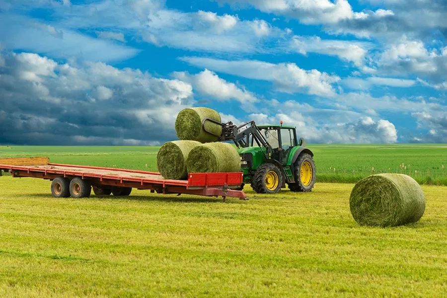 農(nóng)業(yè)最新動態(tài)，時代的脈搏與綠色希望共舞