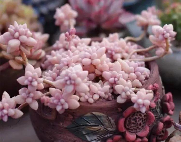 廣場燈具 第125頁