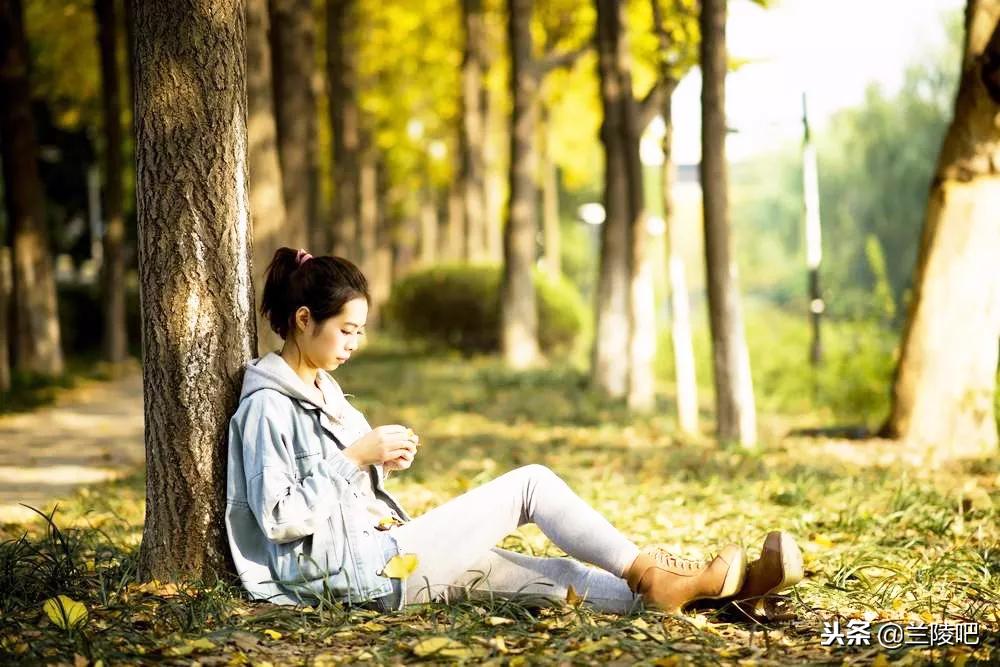 郯城與邳州沖突的深度解析與案例分析，最新進展與案例分析