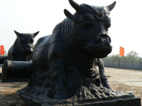 鐵牛視頻最新精彩呈現(xiàn)，領(lǐng)略與眾不同的世界！