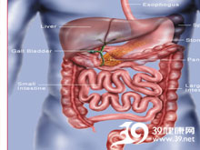 高科技產(chǎn)品重塑生活，體驗前沿魅力，探索腸鳴最新技術(shù)