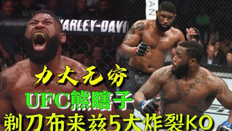 小菊最新比賽，友誼與夢想的絢爛綻放