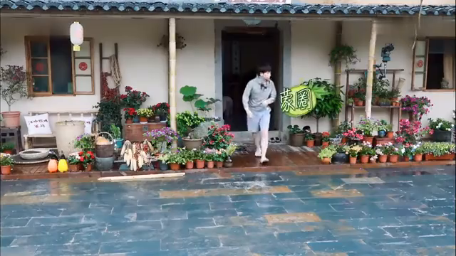 最新蘑菇屋，自然與生活完美融合的夢幻之地