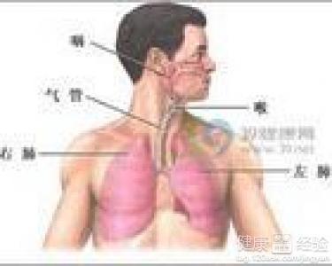 咸豐肺炎最新全面指南與詳解，癥狀、治療、步驟解析