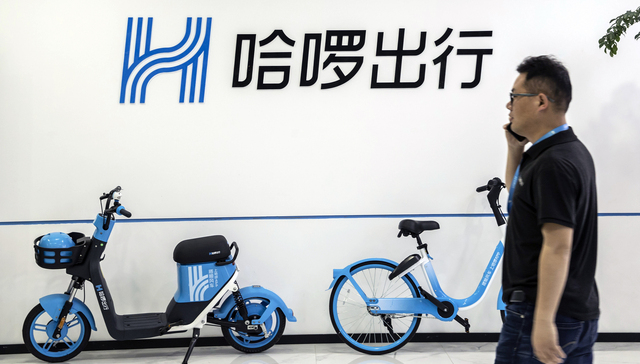 哈啰最新動態(tài)，擁抱自然美景的治愈之旅